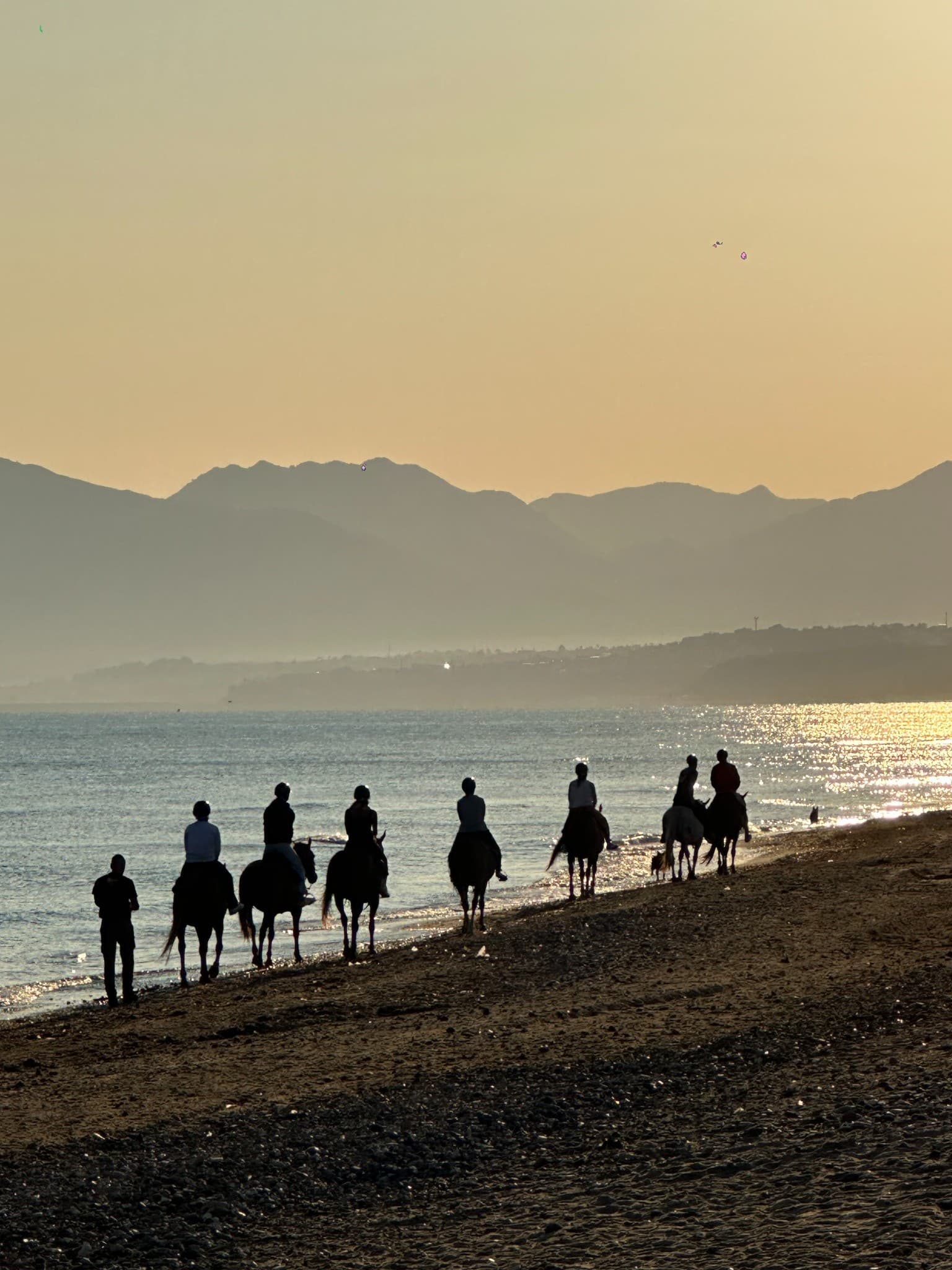Paseo a caballo junto al mar al atardecer - Castellammare del Golfo 5