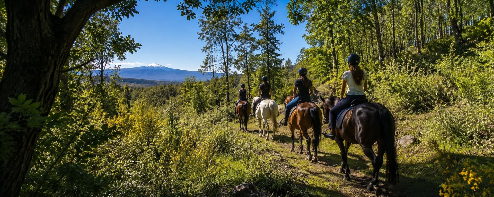 Horseback riding on Etna 4