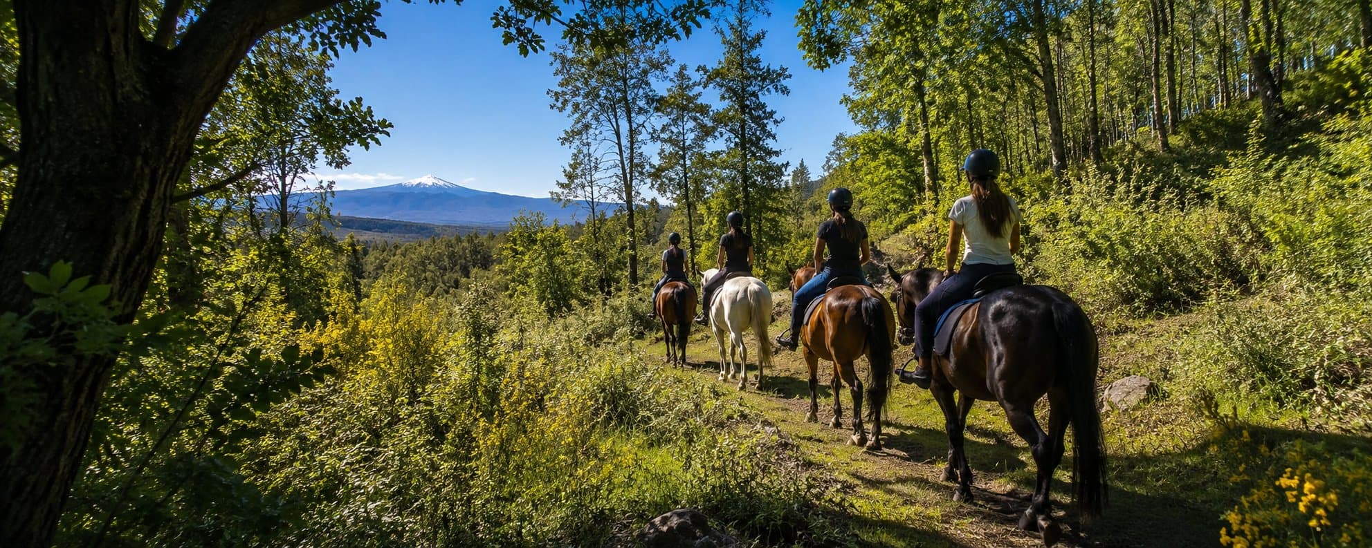 Passeggiata a cavallo sull'Etna 4