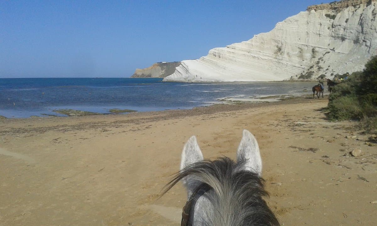 Paseo a caballo junto al mar con aperitivo - Agrigento 5