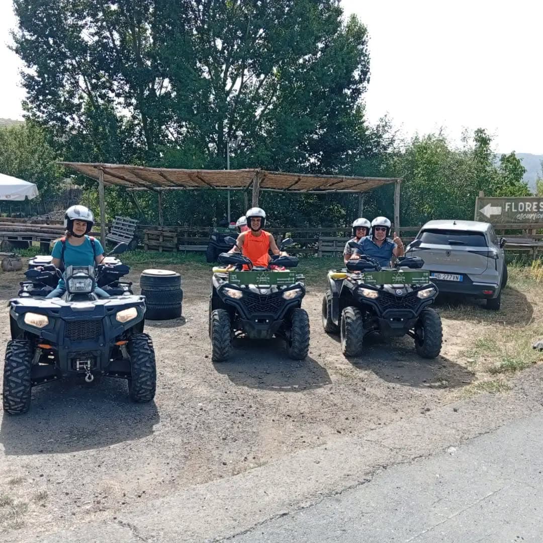 Tour in quad 4x4 sui Nebrodi (max 2 persone) - da Floresta 8
