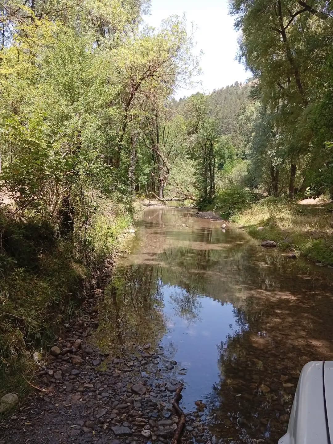 Tour in quad 4x4 sui Nebrodi (max 2 persone) - da Floresta 6