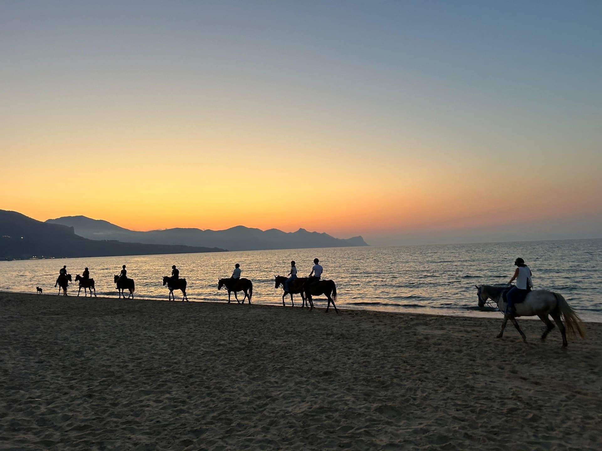 Paseo a caballo junto al mar al atardecer - Castellammare del Golfo 3