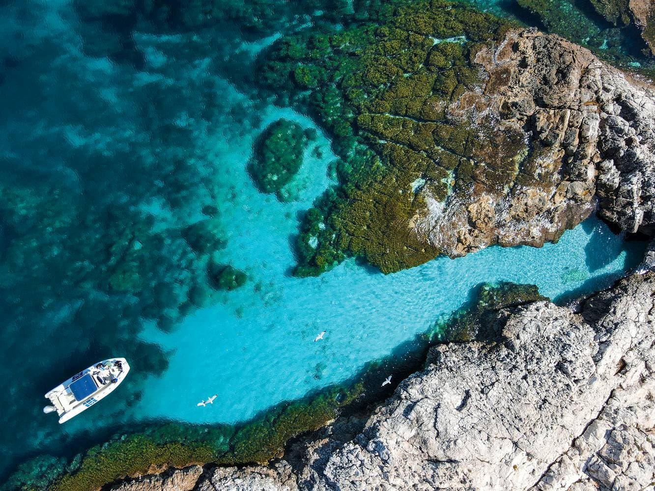 Tour in barca a Favignana e Levanzo – da Trapani 2