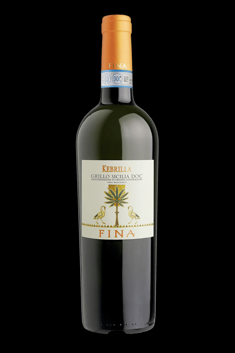 Besuch der Weinberge von Cantine Fina mit Verkostung – Marsala 8