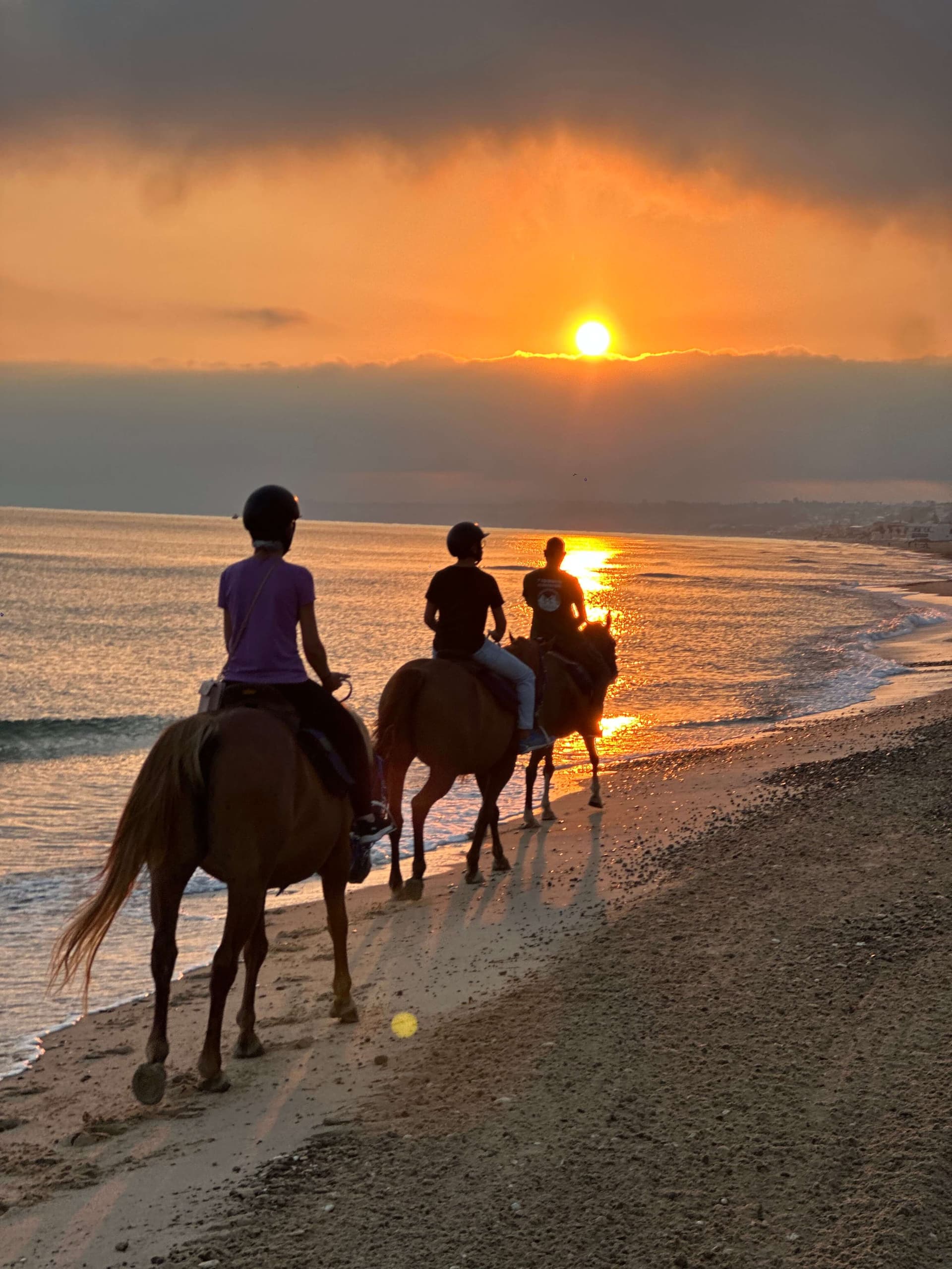 Paseo a caballo junto al mar al atardecer - Castellammare del Golfo 1