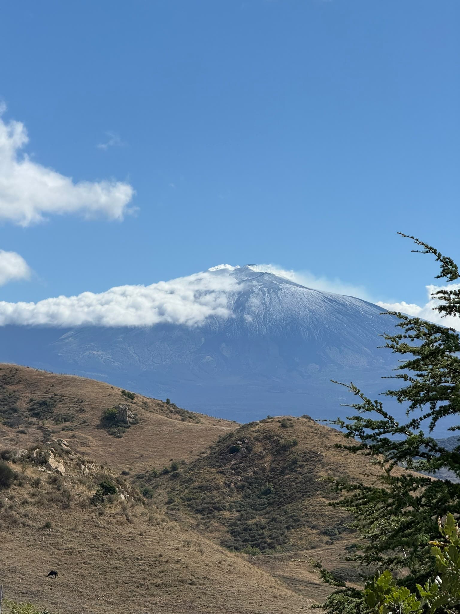 Menù agriturismo specialità suino nero dei Nebrodi - Cesarò 5