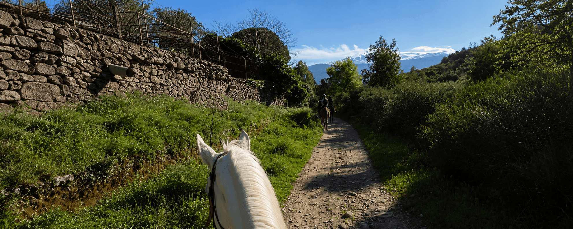 Passeggiata a cavallo sull'Etna 1