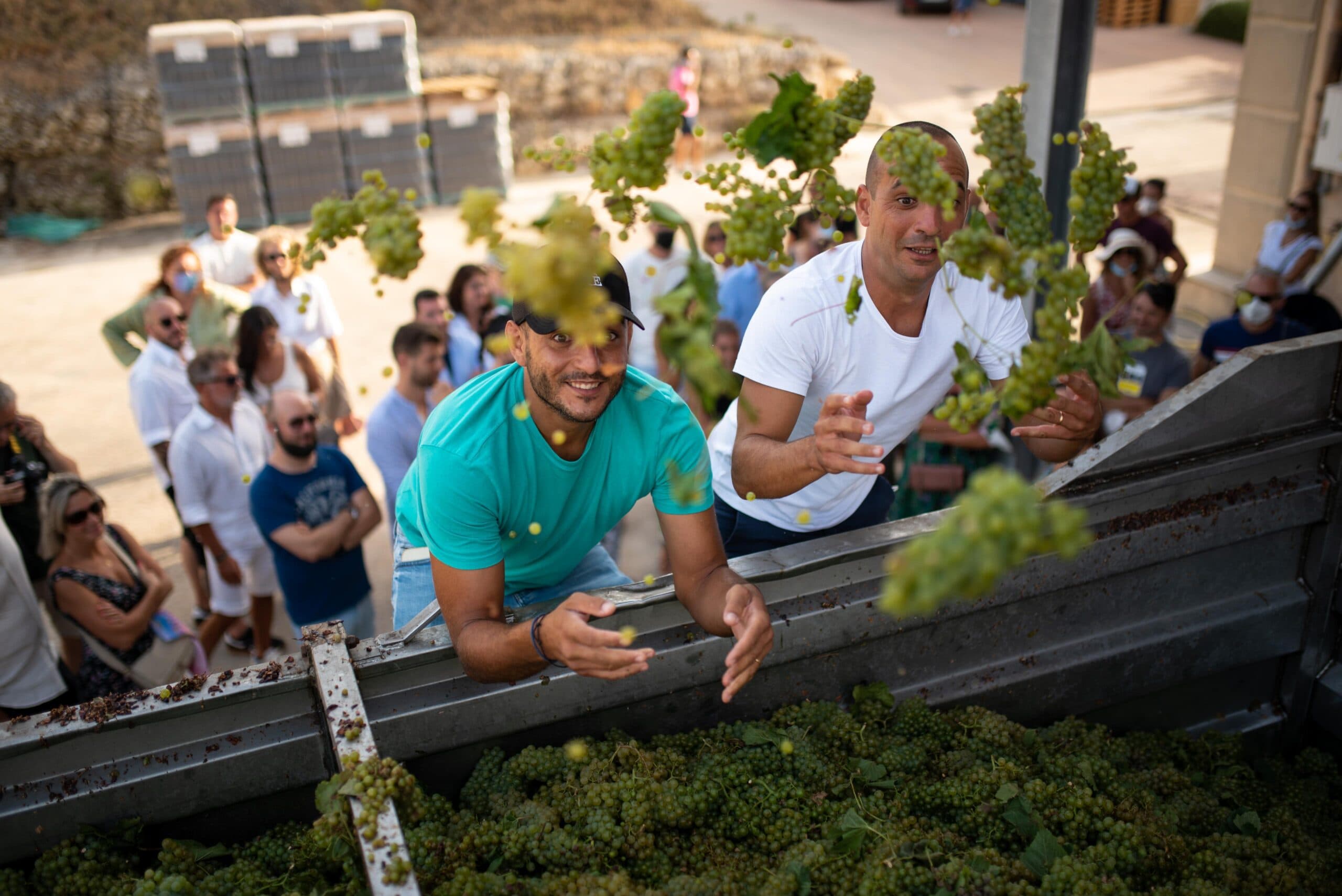 Besuch der Weinberge von Cantine Fina mit Verkostung – Marsala 6