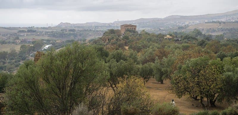 Valle dei Templi: i templi greci meglio conservati al mondo