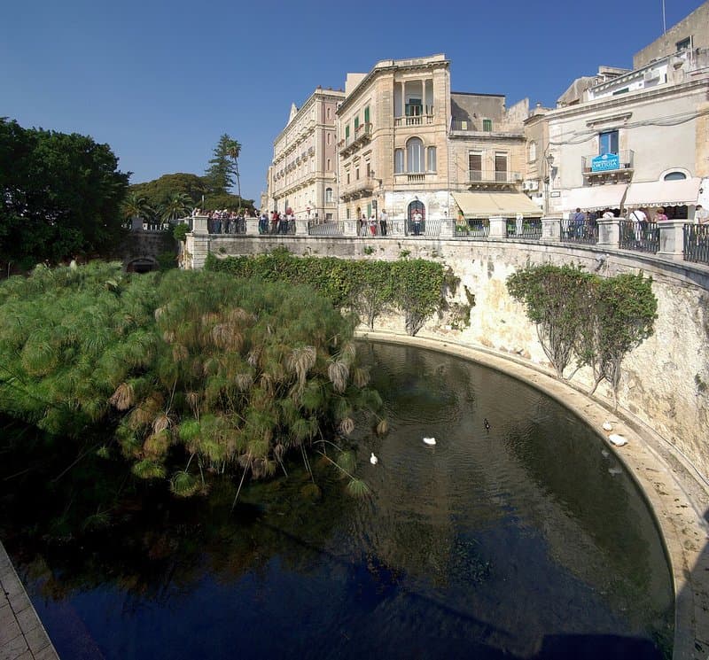 Fonte Aretusa: la sorgente d'acqua dolce sul mare in Ortigia