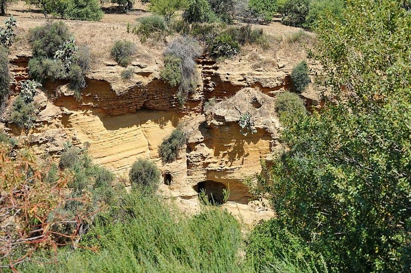 Giardino della Kolymbethra: l'oasi FAI nella Valle dei Templi